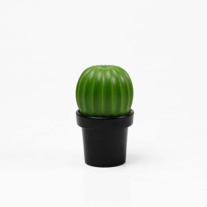 МЕЛЬНИЦА ДЛЯ СПЕЦИЙ Tasty Cactus